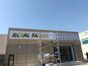 WhatsApp Image 2025-09-29 at 22.24.31_6bf17ee8